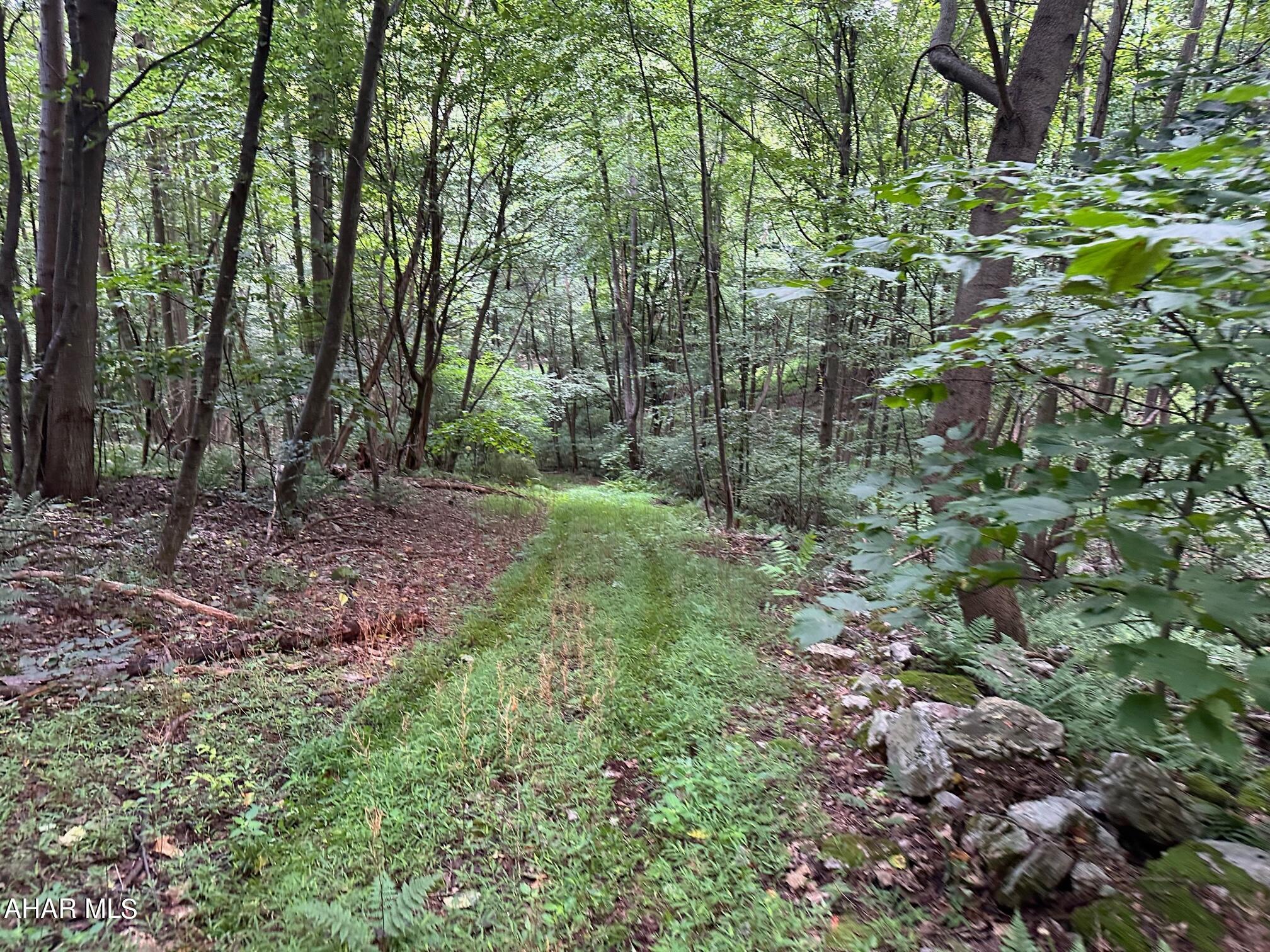 84.92 acres of fully wooded ground in Southern Bedford County.  New slate road gets you access to the main mountain trails  Recently surveyed with clear markings.  Trail access to and on the property taking you throughout the property.  Source water mountain spring located near the top half of the property.   Fantastic Hunting!