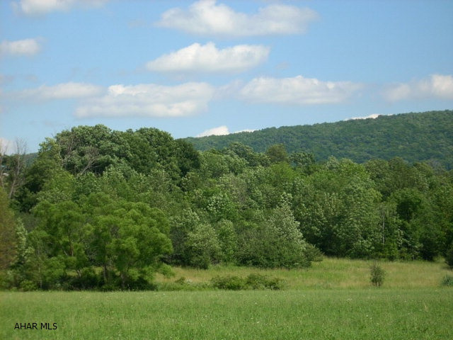 Other - Land