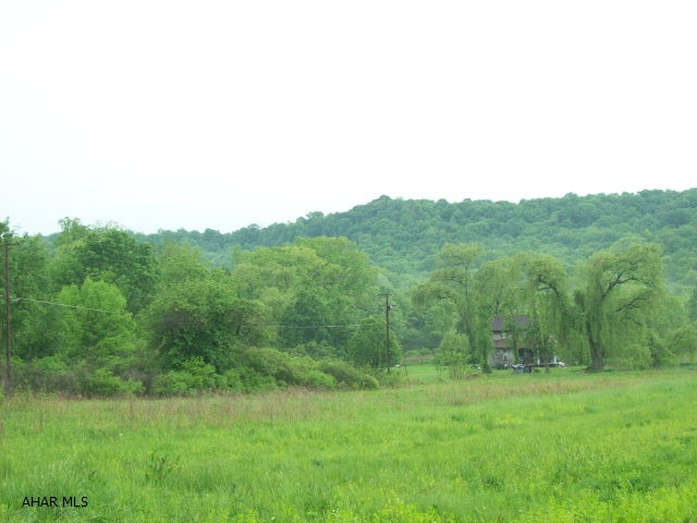 Beautiful flat parcel. There is a spring that supplies the house water. There is no septic system. Pond.