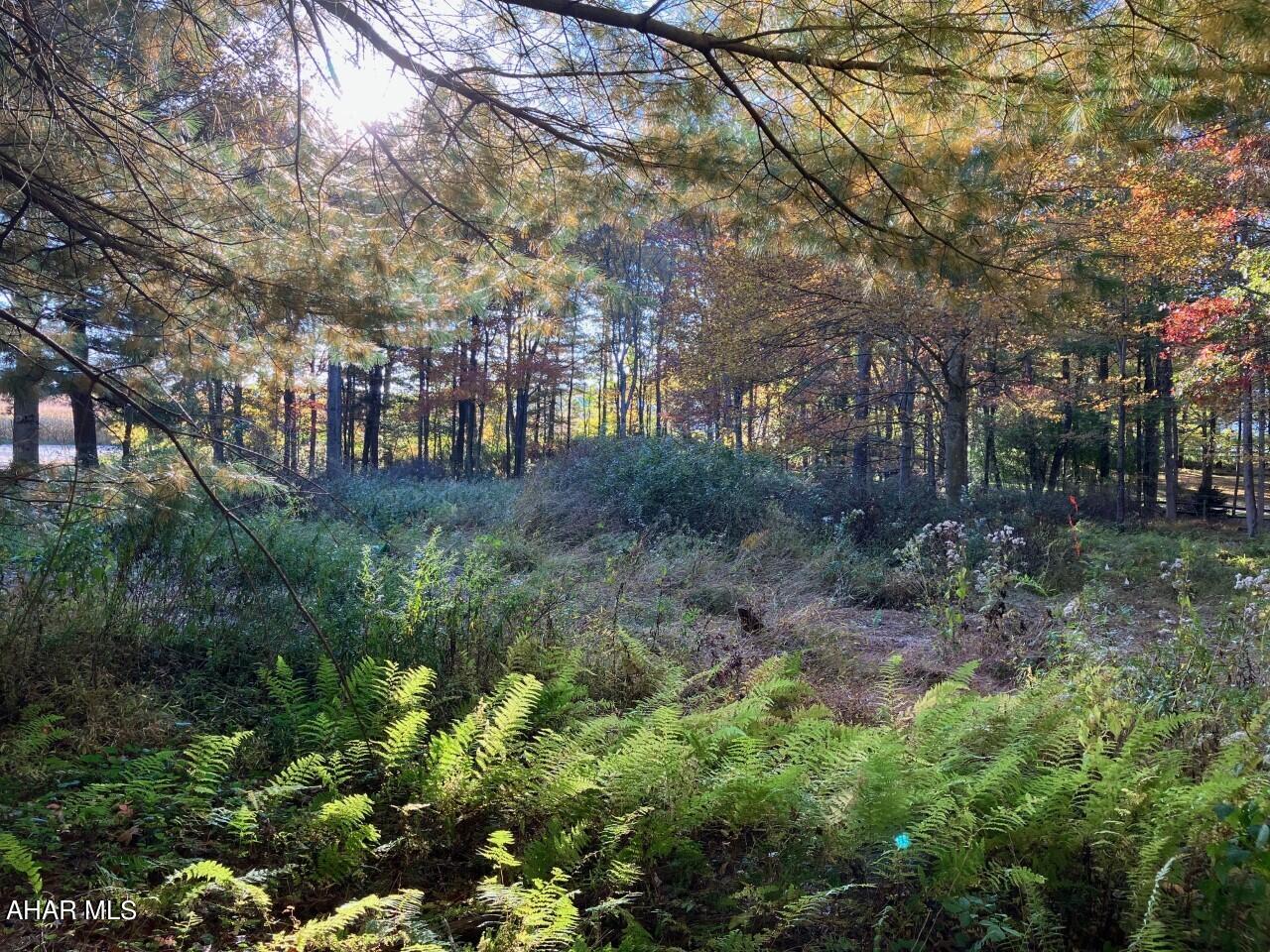 Attractive building lot set in nice location!  This level, wooded lot is situated in an attractive subdivision less than 30 minutes from State College.  Surrounded by attractive homes and offering some nice views, the lot is in the process of getting an updated perc test completed.  Get ready for you to build your dream home!