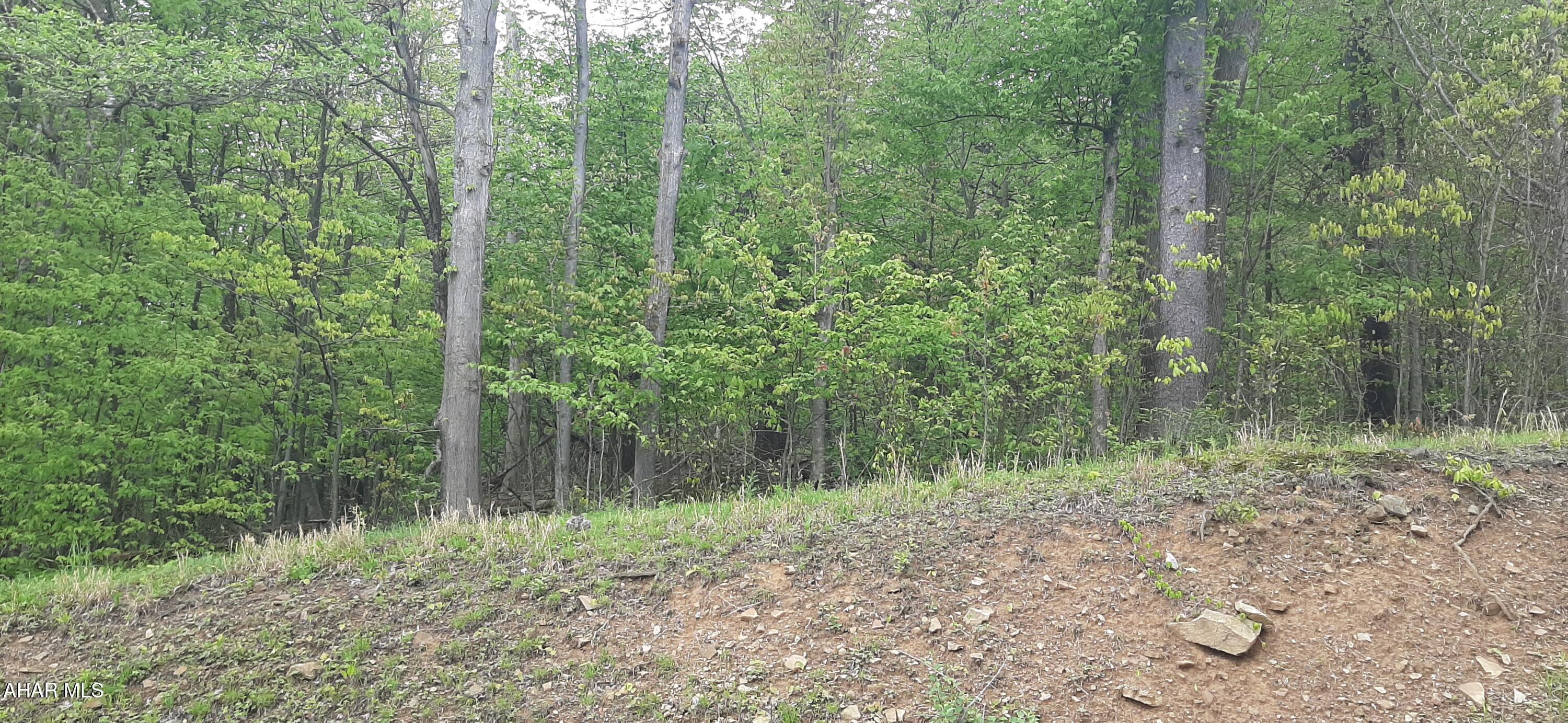 This unique acreage is worth a look! It's woods and terrain expand from the Scanlon Hill area clear over to the Cassandra Overlook. Property on both sides of RT 53 and along the Conemaugh Creek. Call for more details and maps.