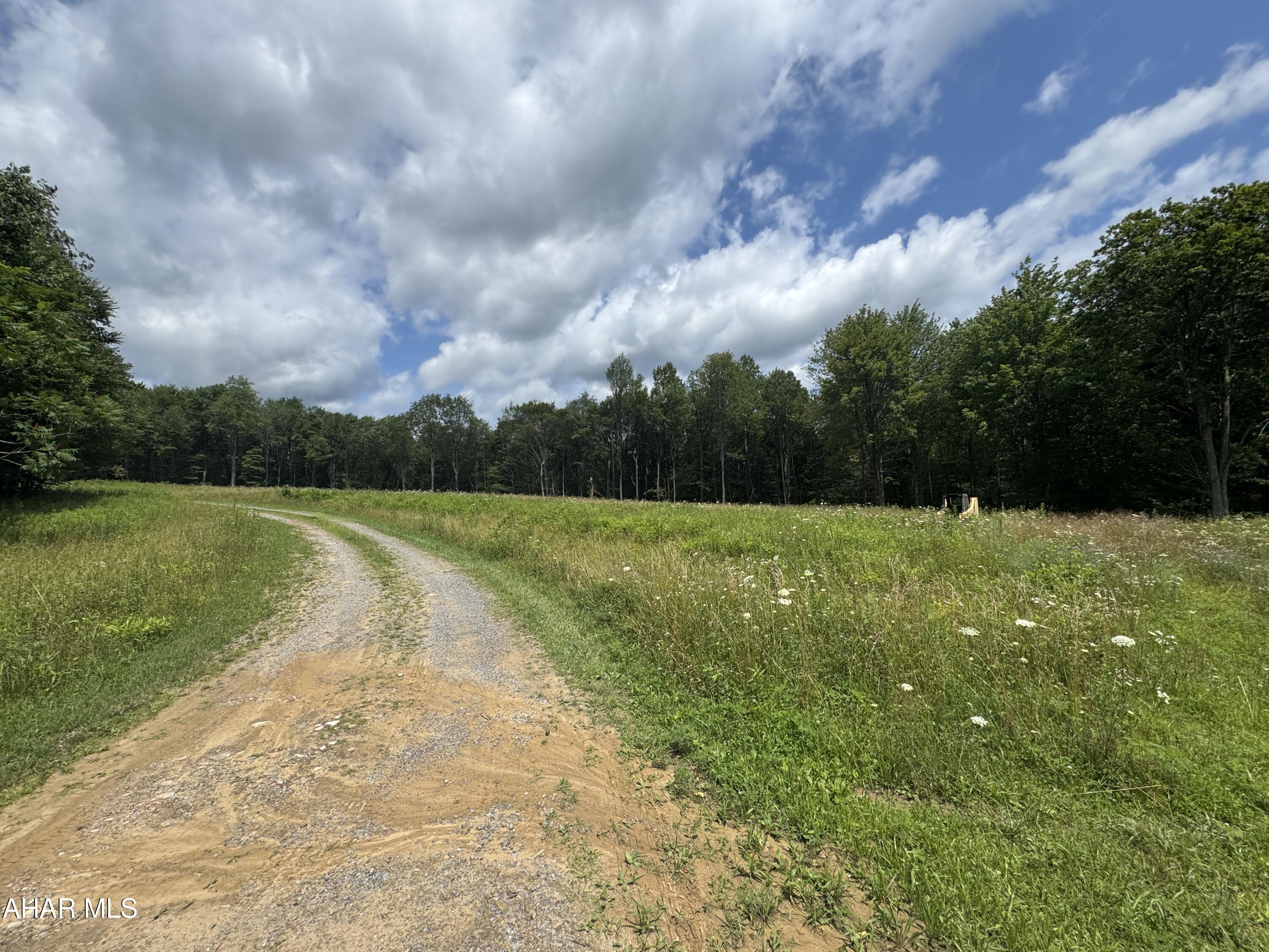 Partially wooded and cleared building sites. Mostly level on a private road with maintenance agreement. Approved for on lot sewage. Well required. Deed restricted (mild). Beautiful semi private sites.