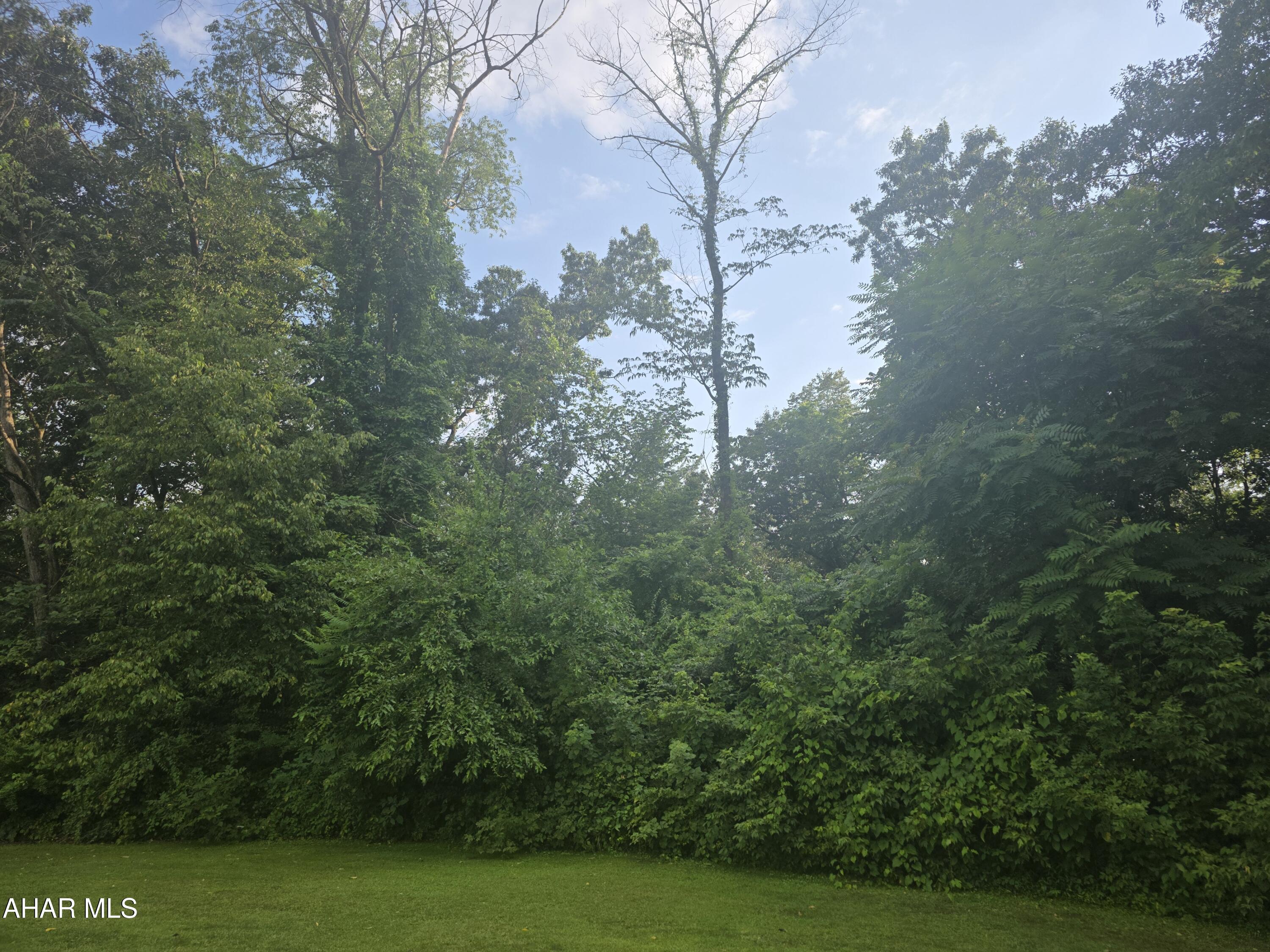 1.14 acre lot perfect to build on. Well required. Lot is level and wooded. Schedule a tour.