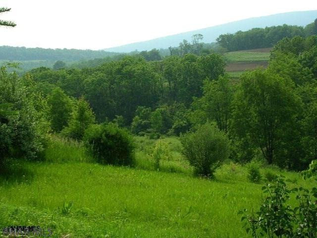 Minutes from Hlbg. Great opportunity  for residential or multi-family. Survey on file.. Build in a proven resale area. Buyer responsible to contact water and sewer authority to ensure availability connectivity and cost.. As well as utility  companies.