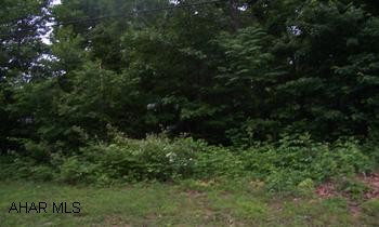 Wooded, Residential Developement, Public Sewage Available A perfect setting for your Dream Home. Situated in a Cul De Sac in Ridgewood Heights Development. Within minutes of the schools. Great area for raising a family or retirement. Priviate and Peaceful!
