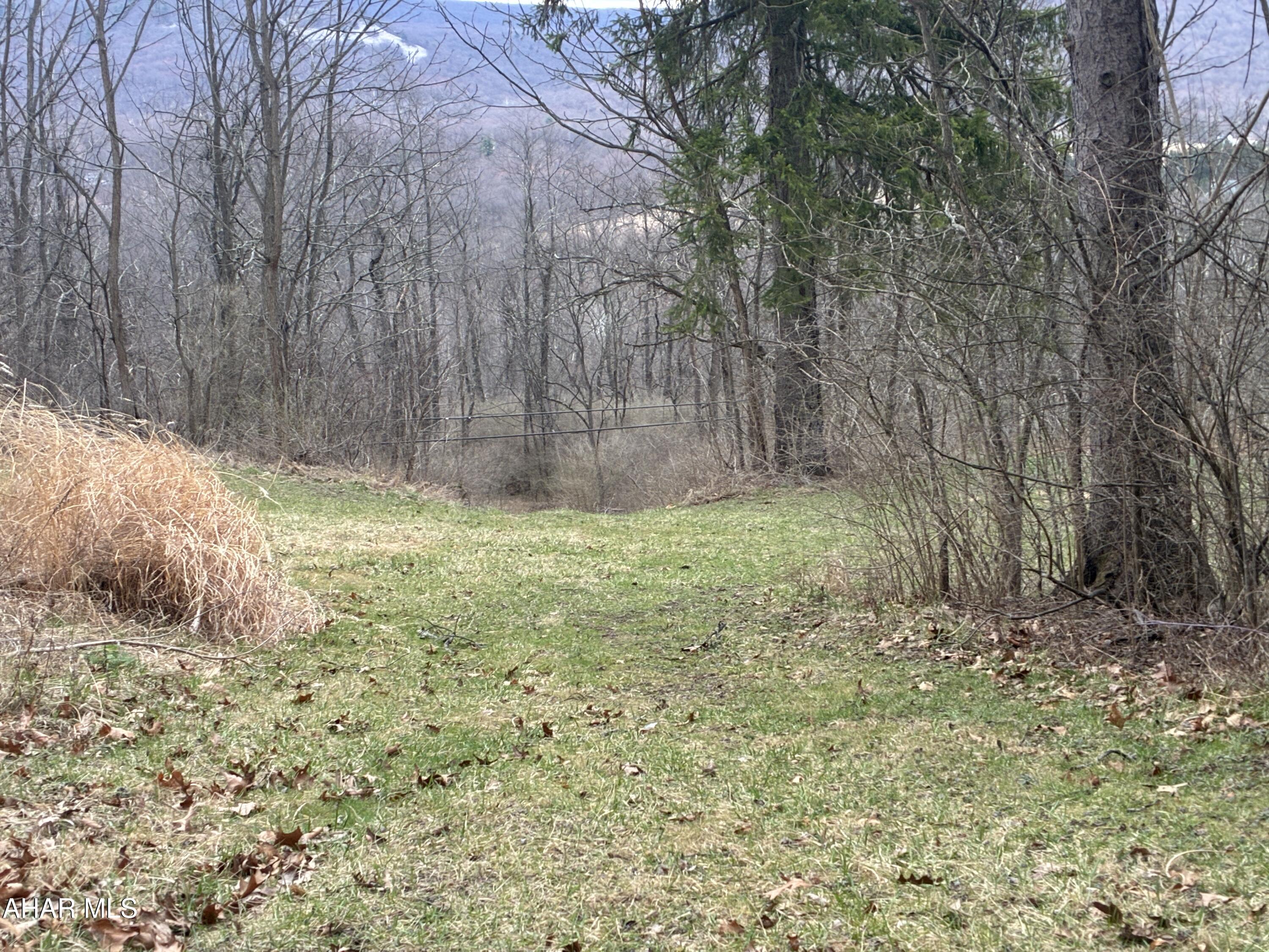 12 acres of wooded land conveniently close to Hollidaysburg ,Could have some Great Valley views with some tree trimming good hunting .nice property to build on or for recreational use.property would need to be perk tested !
