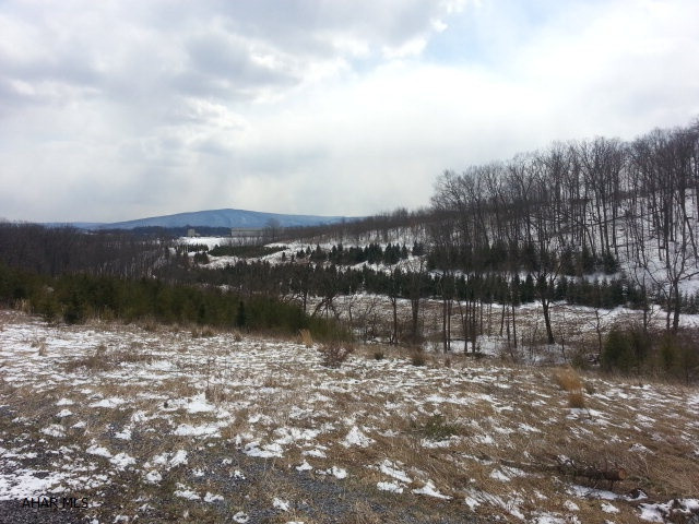 18.42 Acres in Hollidaysburg SD.