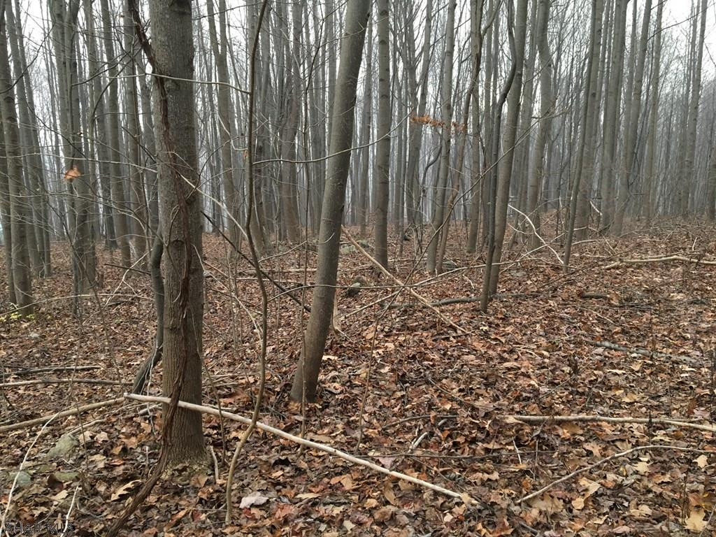 Other - Land