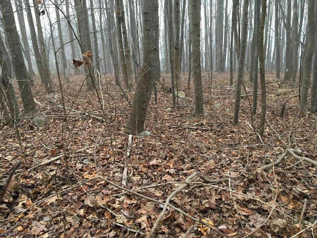 Other - Land
