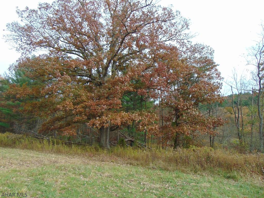 Need to get away from it all? Perfect for animal and nature lover Beautiful property with 33 acres, very peaceful and private.  Has forest, full length creek, open view of meadow.  There is a potential area for a large garden.  It is a very old house that has been used by owner for a vacation home.  Needs work.