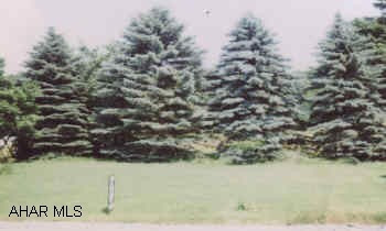 1.5 ACRE PLOT ON LOWER BRUSH MNT. ROAD. SEWER AND GAS AT STREET, WATER CLOSEBY FROM SEVERAL DIRECTIONS. 1.5 ACRE PLOT ON LOWER BRUSH MNT. ROAD. SEWER AND GAS AT STREET, WATER CLOSEBY FROM SEVERAL DIRECTIONS.