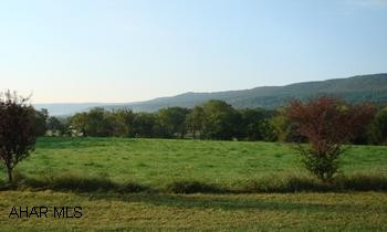 Country 3.66 flat acreage. Lovely cleared, level 3.66 Acre lot.  Public water available.  No restrictions No septic.