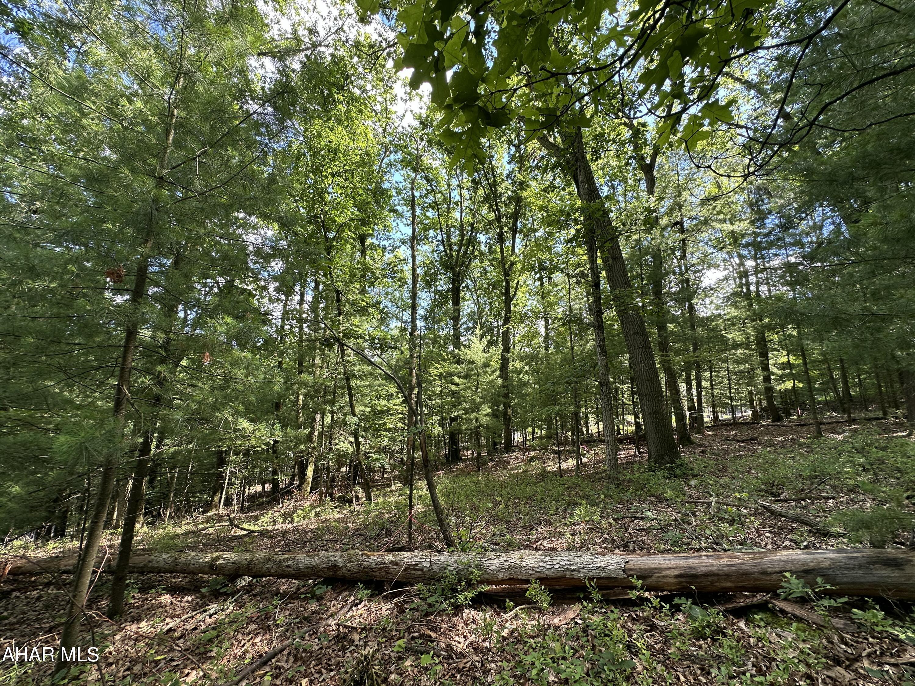 Need your space? Check out this 0.98 acre lot in the wooded Shenecoy Manor Development. Get country living at it's finest less than 15 minutes to Lake Raystown, 5-10 minutes to shopping and restaurants, 10-15 minutes to downtown Huntingdon, medical facilities & Juniata College, perk test completed