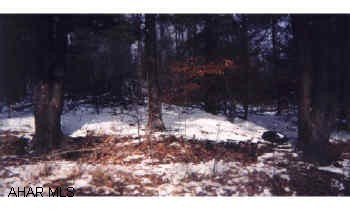 Aprrox. 99.5 +/-  vacant acres mostly wooded with some cleared areas and some past surface strip mining....land is level to steep.  Good hunting. Land is deeded in 3 parcels.  Clearfield Co./ Chest Twsp/  Harmony School Dist. Approx. 99.5 +/- vacant acres mostly wooded with some cleared areas and some past surface strip mining...land is level to steep.  Good hunting.  land is deeded in 3 parcels.  Clearfield Co./ Chest Twsp. / Harmony School Dist.