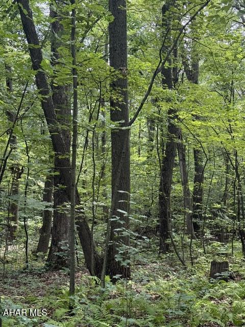 LOOKING FOR A PRIVATE 10 ACRES OF WOODS WITH ELECTRIC AND CABLE AVAILABLE .THIS PROPERTY IS LOADED WITH MOSTLY WHITE OAK VERY LARGE TREES SPANNING 60 PLUS FEET TALL. BEAUTIFUL VIEW LOOKING OVER SOY BEAN FIELDS TO SHAFFER MOUNTAIN RIDGE . THIS IS A PERFECT SPOT TO BUILD YOUR DREAM HOUSE . MINUTES TO SCHELLSBURG OR BEDFORD. BOOK YOUR TOUR.