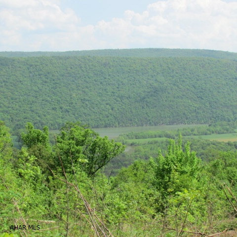 11.69 acres with a great view of Raystown Lake. This lot is a nice wooded section that borders federal land and is on the right end of the semi-private gated development.  These lots are beautiful year round.  Nothing surpasses the fall foliage of Pennsylvania; combine that with views of the lake, valley, and mountain ranges.  Positioned between two boat launches - Shy Beaver and Weaver Falls.  10 minutes more takes you to the Resort and Tatman Run boat launch.  Don't forget the wildlife - lots of wildlife sightings here plus hunting.  This lot includes it's own turkey stand!  Other lots are available; one lot has a 3-level Chalet with great views.