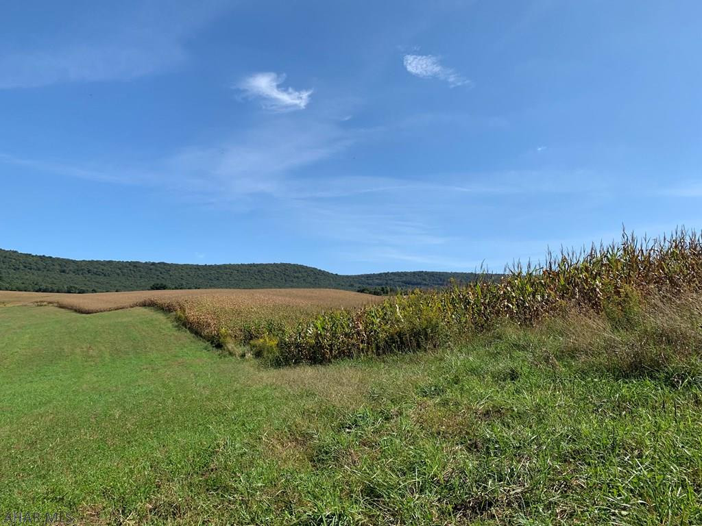 Other - Land