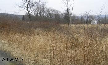 9+/- acres along Juniata Valley Road. Part of property in 100 year and 500 year Flood Zone. Part out of Flood Zone could be built on.