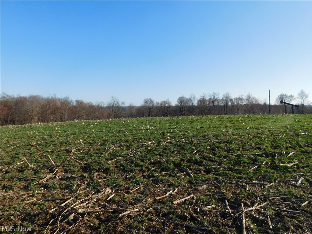 Nice 5 acre parcel that is mostly open with about an acre of wooded area.  Property may have an unidentified underground mine.