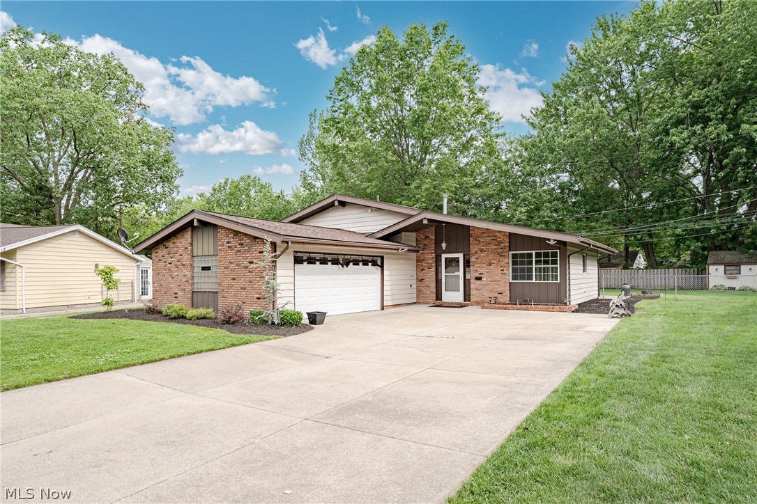 Rose Tree 03 - Residential