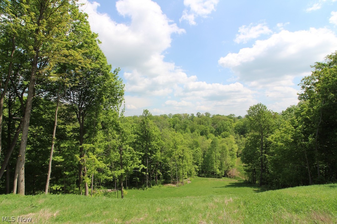 Good hunting or recreational property. Plenty of deer & turkey sign on property. Habitat is a nice mix of open woods and thick areas. Gas line planted in clover cuts across back of property. Wooded building site with public water and electric at road. Mineral rights do not transfer. Annual taxes are approximately $225.50.