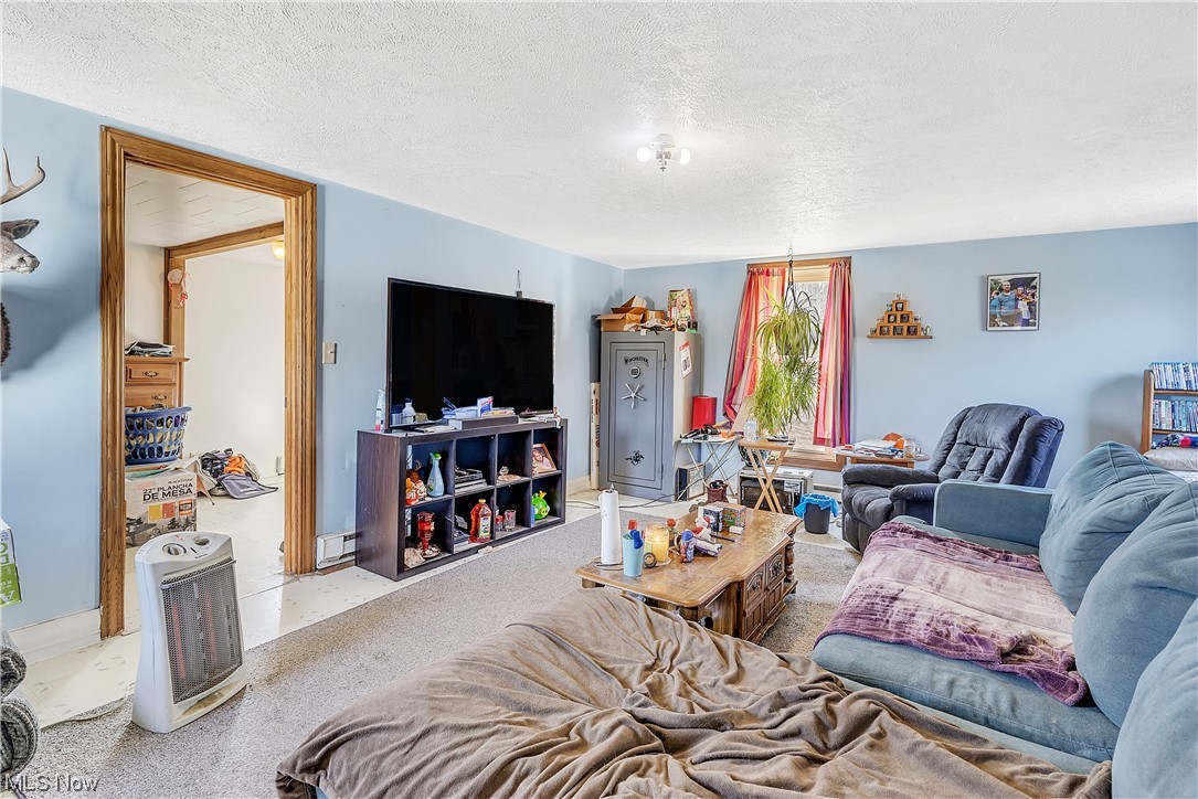 Township/Kinsman Sec 13 - Residential