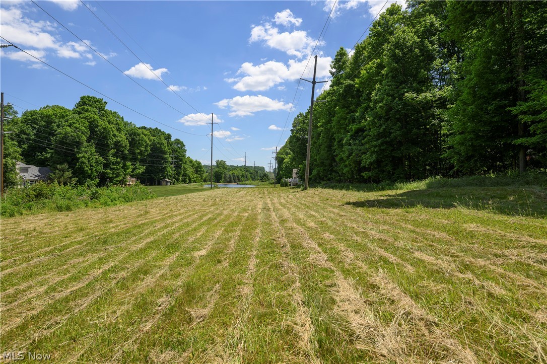 Arbour Green - Land