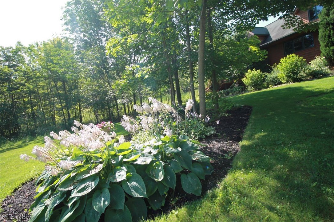 Deerfield Allotment - Residential