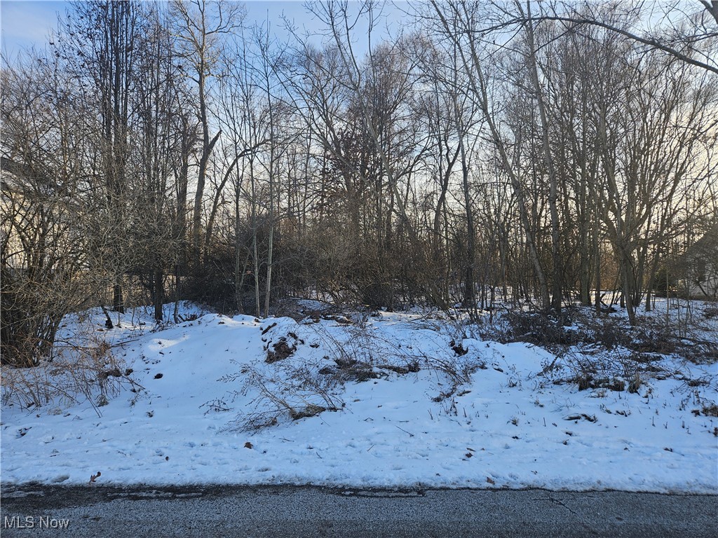 Timber Run Ph 02 - Land