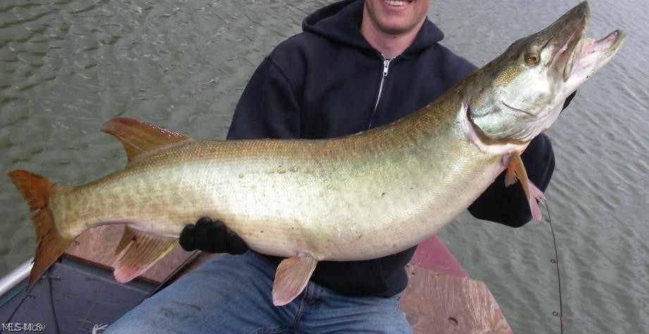 Rockwood Park 05 - Residential