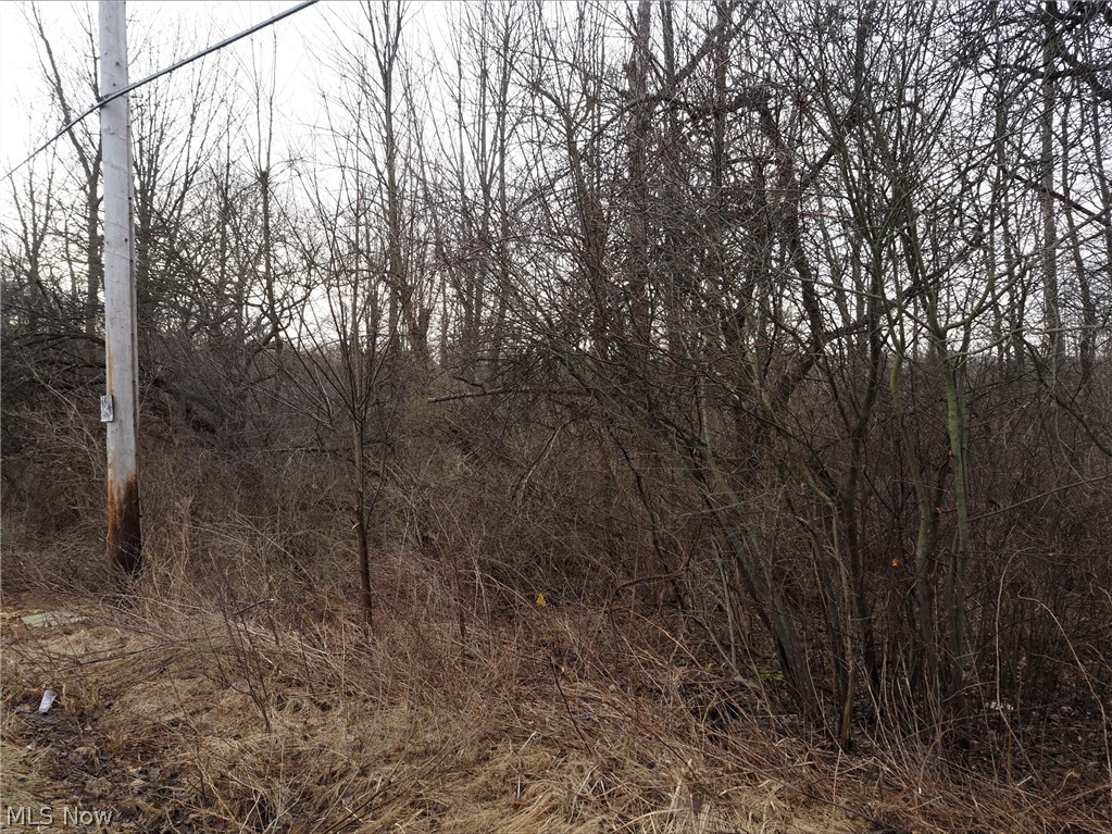 Come bring your vision to life and build your dream home on this vacant lot along Bartholomew Road near the intersection of Auburn Road and Bartholomew Road in Auburn Township. Natural gas and newly installed fiber optic service available. Septic survey has been completed and plans are available for review.  Whether you're planning to build now or invest for the future, this parcel provides the freedom to design and create according to your needs.