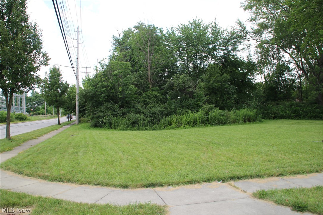 Twinsburg Heights - Land
