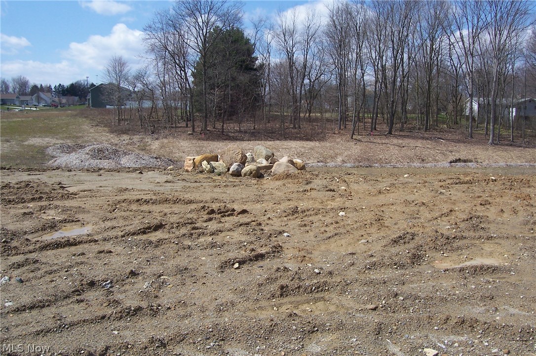 Cedar Run Development - Land
