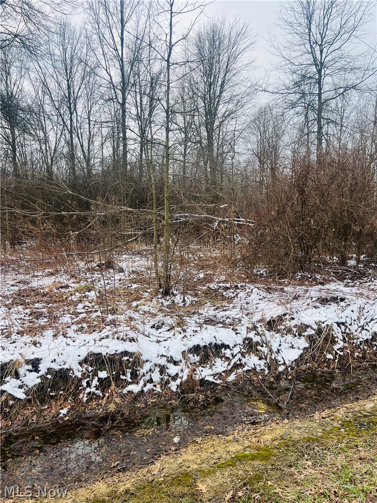 Sunrise Acres - Land