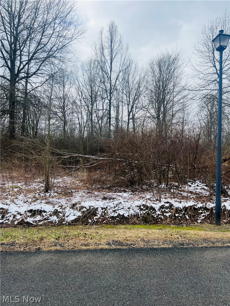 Build your dream home on this 0.45-acre residential lot located in the desirable Sunrise Acres subdivision in Orwell this lot offers a peaceful rural setting while still providing convenient access to local amenities. Utilities are available at the street. Ideal for a custom home or investment opportunity. Enjoy country living with easy access to nearby highways and surrounding communities.