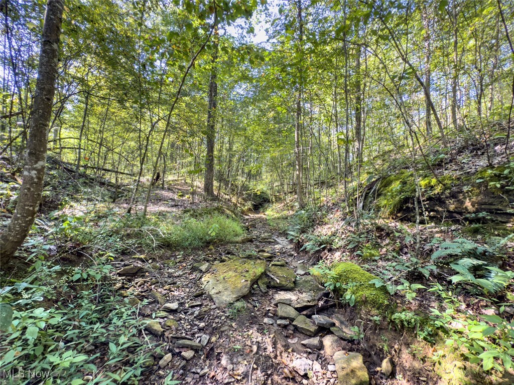 Palmer - Land