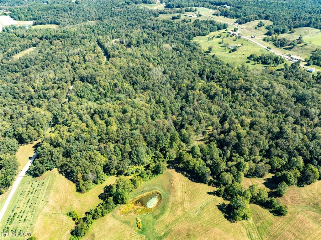 Palmer - Land