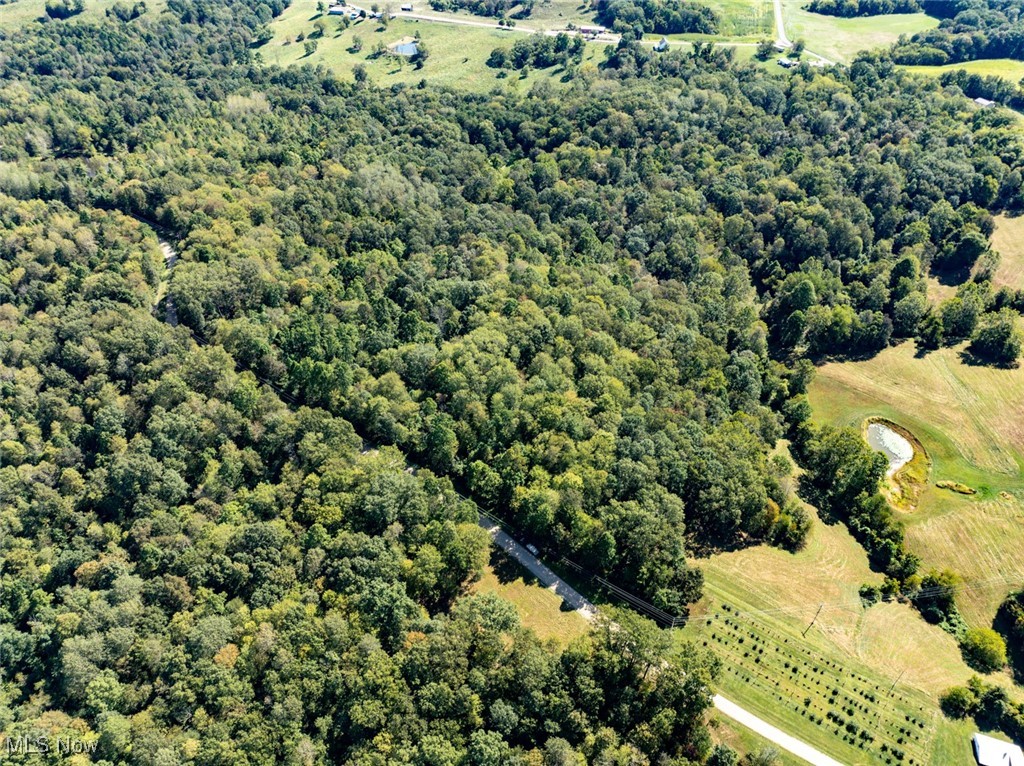 Palmer - Land