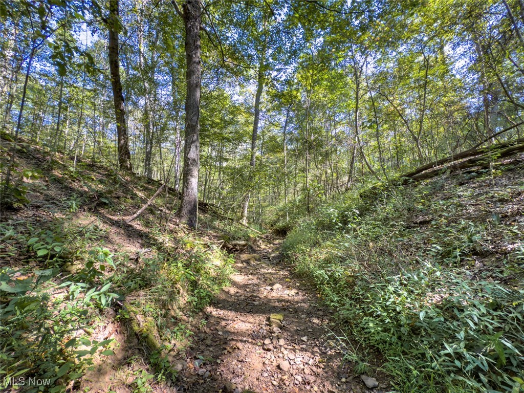 Palmer - Land