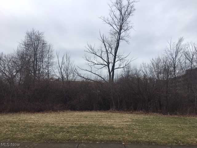 Great investment opportunity! Buildable lot - zoned R-3, single family attached. 0.471 acres with a 20,528 lot size should allow for 3 -4 single family attached townhomes/cluster home with requirements of 4,500 min lot size each and 1,400 sq feet per unit. Information is deemed accurate per city, however, interested buyers are advised to refer to "District Regulations" located under supplements, and consult with a builder and/or architect as to how requirements including setbacks, pervious service percentages, utility development and other codified ordinances apply. Highly desirable area and one of the few last remaining lots. Central to shopping; Westgate and Crocker Park, Rocky River Schools, airports.  Bring your Builder today! Easy access to I 90 & I 480, only 20 to Downtown Cleveland.