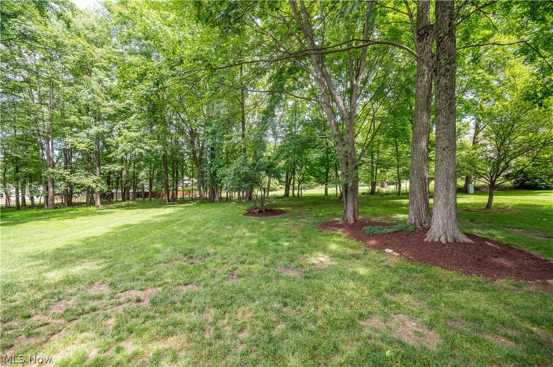 Hitchcock Woods - Residential