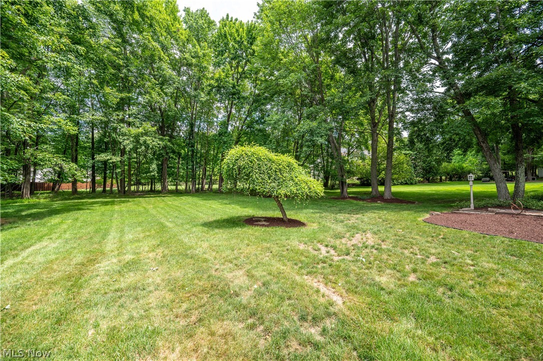 Hitchcock Woods - Residential