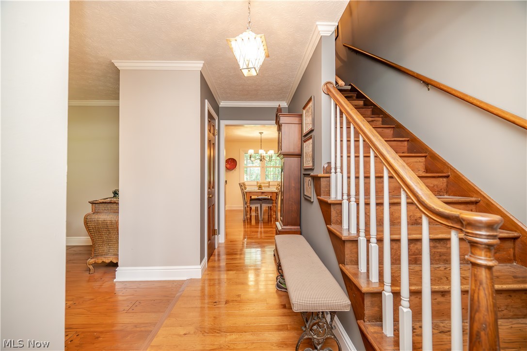 Hitchcock Woods - Residential