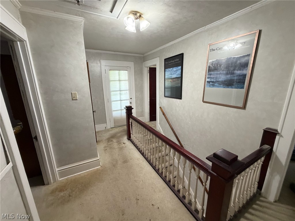 Wilfred H Collins Drive - Residential