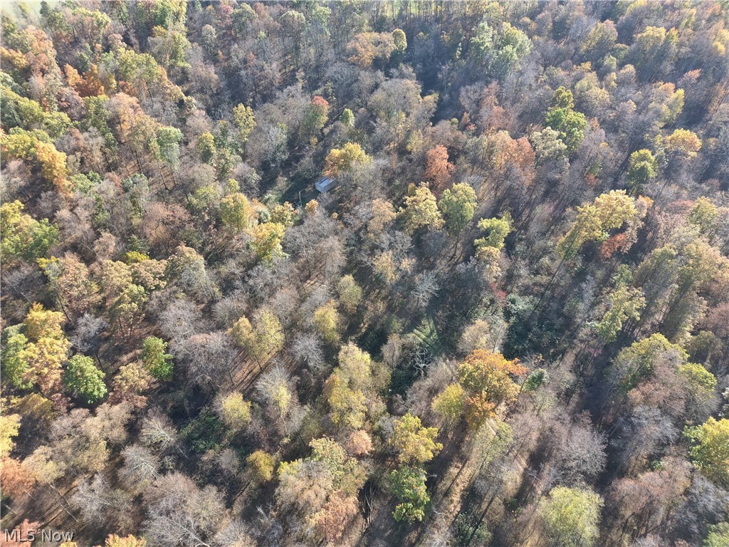ATV Tour: Saturday, January 22nd 10:00-Noon. Onsite Auction: Saturday, January 29th, 11:00 AM. Located just minutes south of Shreve and equal distance between Wooster, Millersburg, or Loudonville, here’s an exceptional opportunity to buy property with a varied selection of land available. Beautiful building sites with road frontage on 3 different roads to choose from, whether you’re looking for wooded or open ground there is something here for every preference. The wooded ground has a growing stand of hardwoods with some nice walnut, and the open land makes for excellent agriculture opportunities. The mineral rights that are included with the property presents both a short & long-term investment strategy with several producing wells on the property. Several wooded tracts give the potential for hunting close to home with secluded field edges and natural water sources. Whether you’re on the market for that hunting tract, farming land, or you’ve been looking for that building site in the