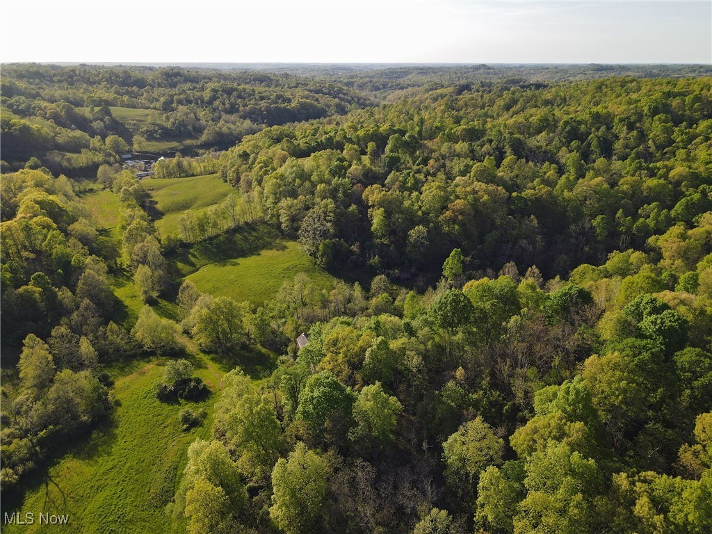 Pituresque hill and creek valley property. Wood and pasture. Trophy game. Secluded private retreat composing 201.41 acres. Electricity and public water avialable at Willow Run Road. Recorded right of way entry from Willow Run Road.  6 parcels in total. (6th: 02-500-00010000