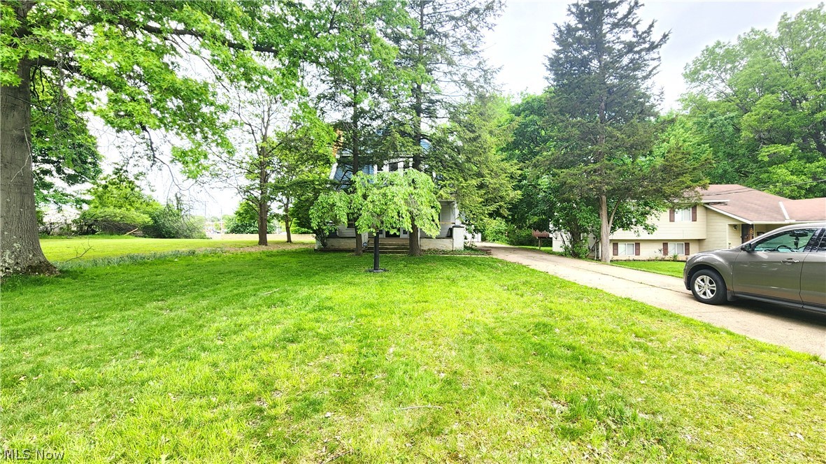 Dill - Residential