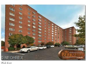 Fantastic 10th floor condominium offers magnificent Lake Erie views!  The Berkshire is a wonderful Gold Coast building with roof top deck, in-ground pool, picnic areas, community gardens and public transportation right out front.  Garage space.  Huge laundry room with plenty of washers and dryers.  Note that maintenance fee includes heat, electric, water, sewer and trash.  Receptionist at front entrance 7am – 11pm.  Great value... call today!