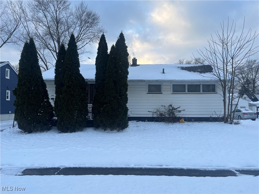 Check out 234 Bellfield Ave in Elyria, this well-maintained 3-bedroom, 1-bath residence presents a strong opportunity for both homeowners and investors. The home offers a partially finished basement equipped with a sump pump, enhancing durability and water protection. The kitchen features quality wood countertops, adding timeless appeal and functionality. Tenant occupied, the property delivers immediate rental income with minimal transition. An excellent option for those seeking a reliable, income-producing asset in a desirable residential setting.