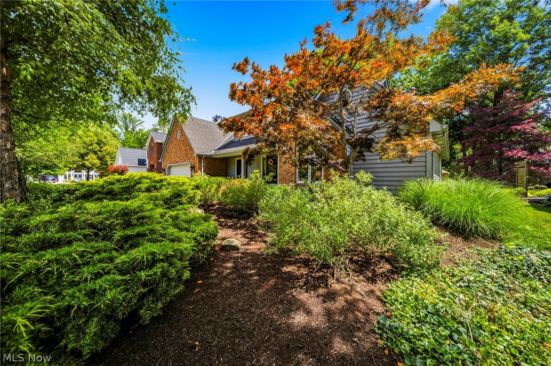 Pheasants Walk - Residential